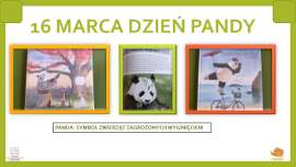 Dzień Pandy na fotografi data 16 marca i zdięcia pand